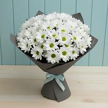Букет цветов из:  Хризантемы в Троицком Сахалинской области
