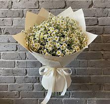 Букет цветов из:  Ромашки #REPLACE_PRED# Троицком Сахалинской области