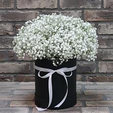 Цветочная композиция из Гипсофила в шляпной коробке в Троицком Сахалинской области
