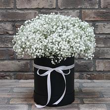 Цветочная композиция из Гипсофила в шляпной коробке в Троицком Сахалинской области