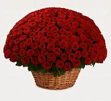 Премиум букет из: Розы в Троицком Сахалинской области